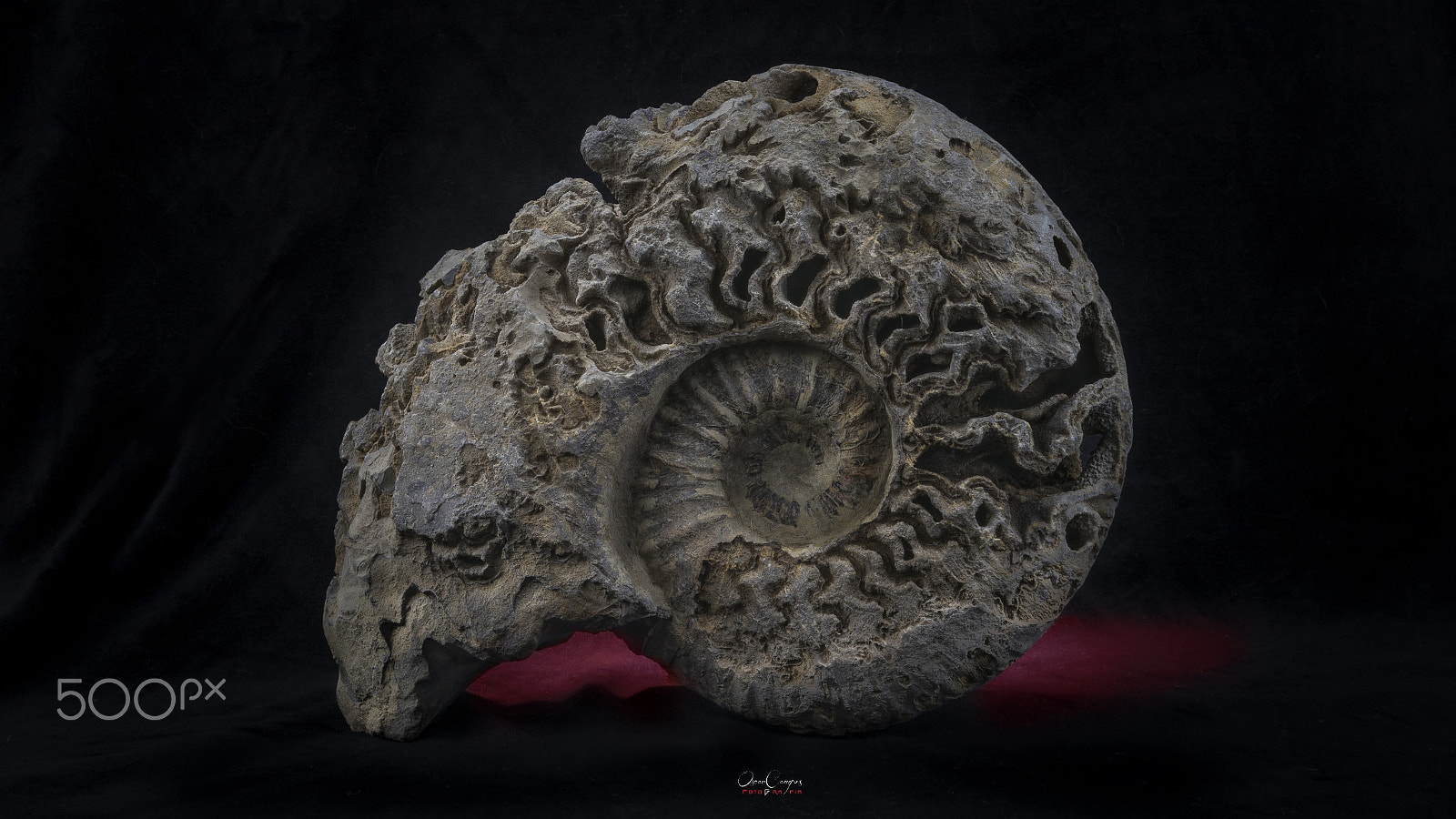 Nikon AF-S Nikkor 16-35mm F4G ED VR sample photo. X amt photography