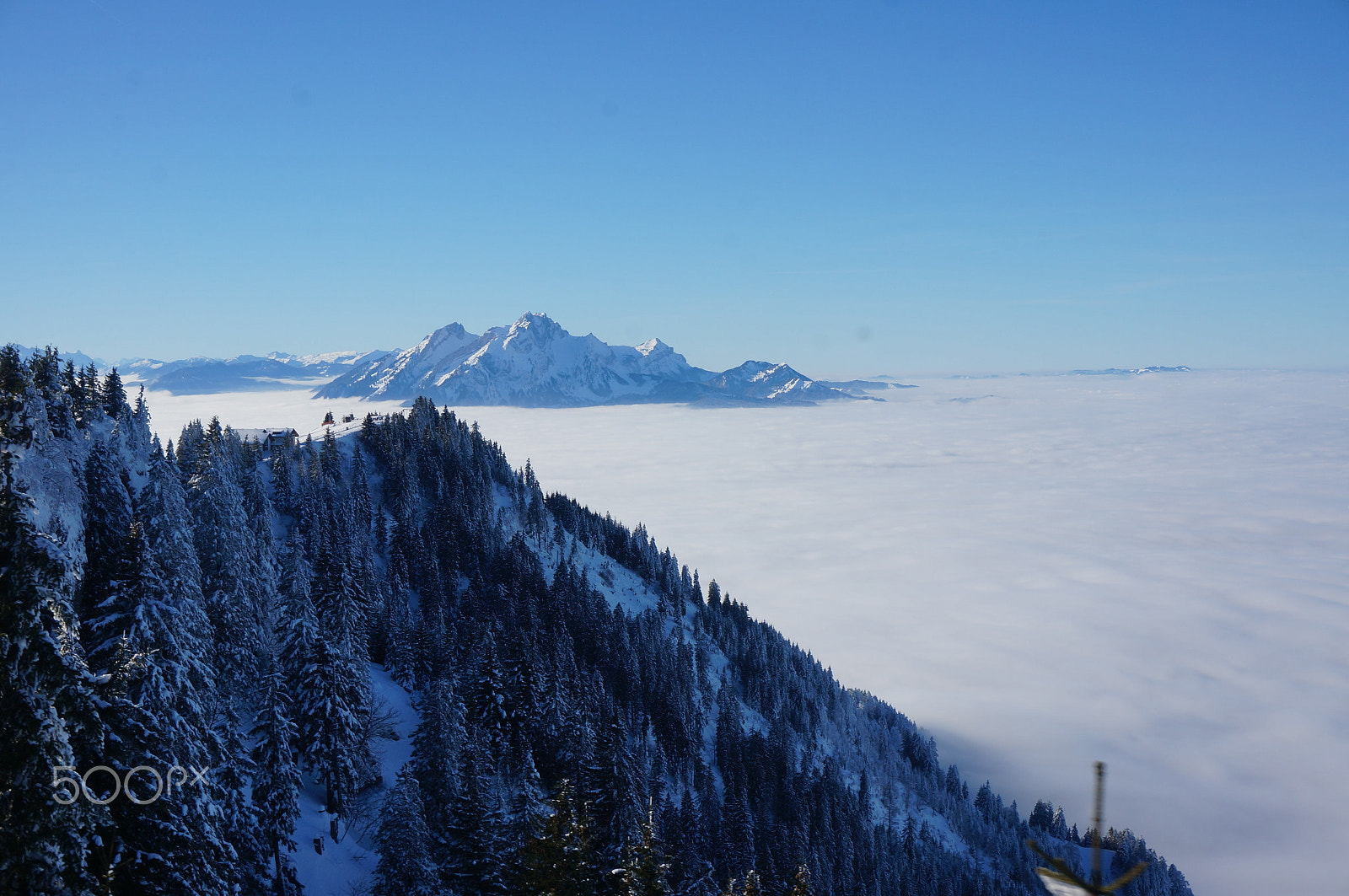 Sony Alpha NEX-5R + Sony E 18-50mm F4-5.6 sample photo. Rigi mountain photography