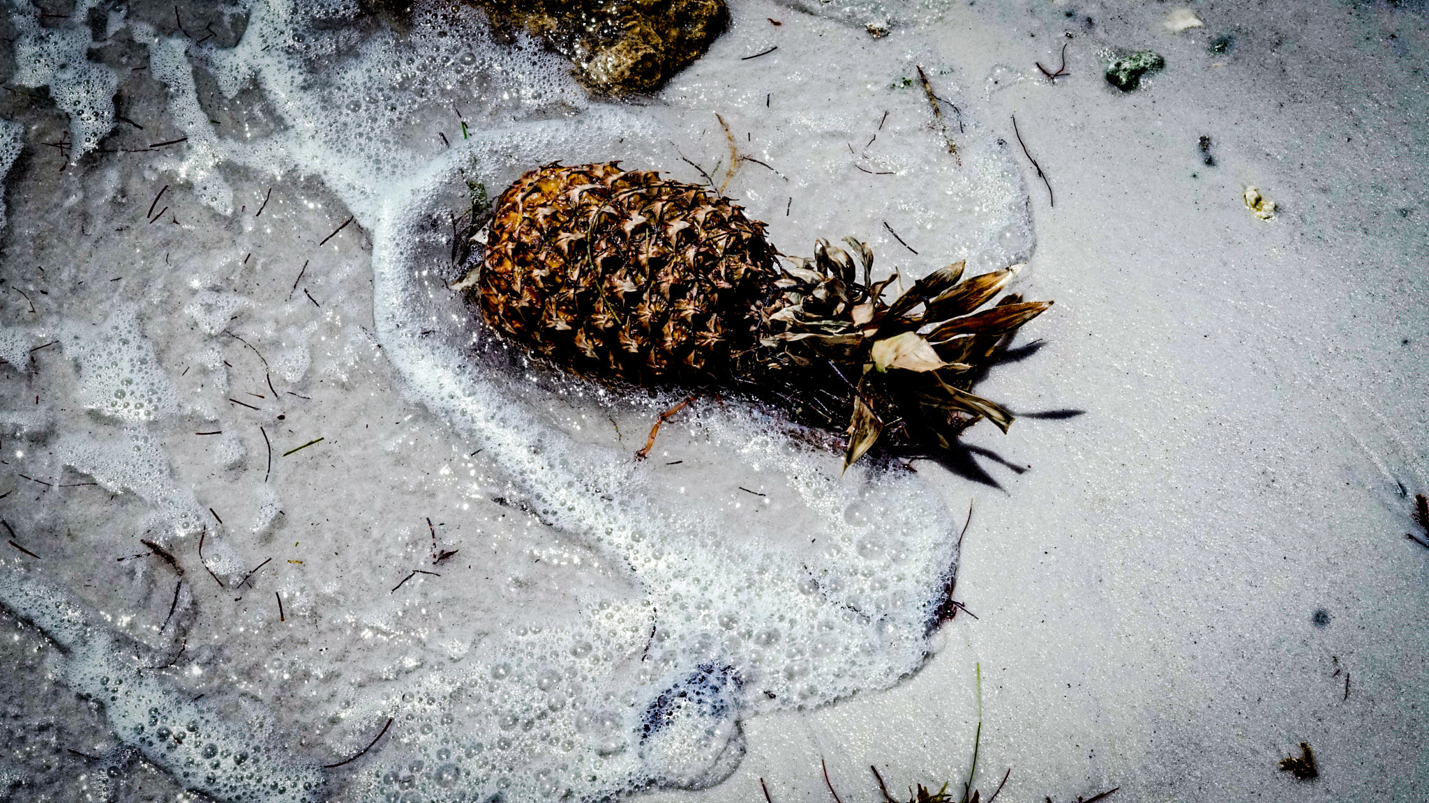 Sony a6000 sample photo. Pineapple washed up  photography