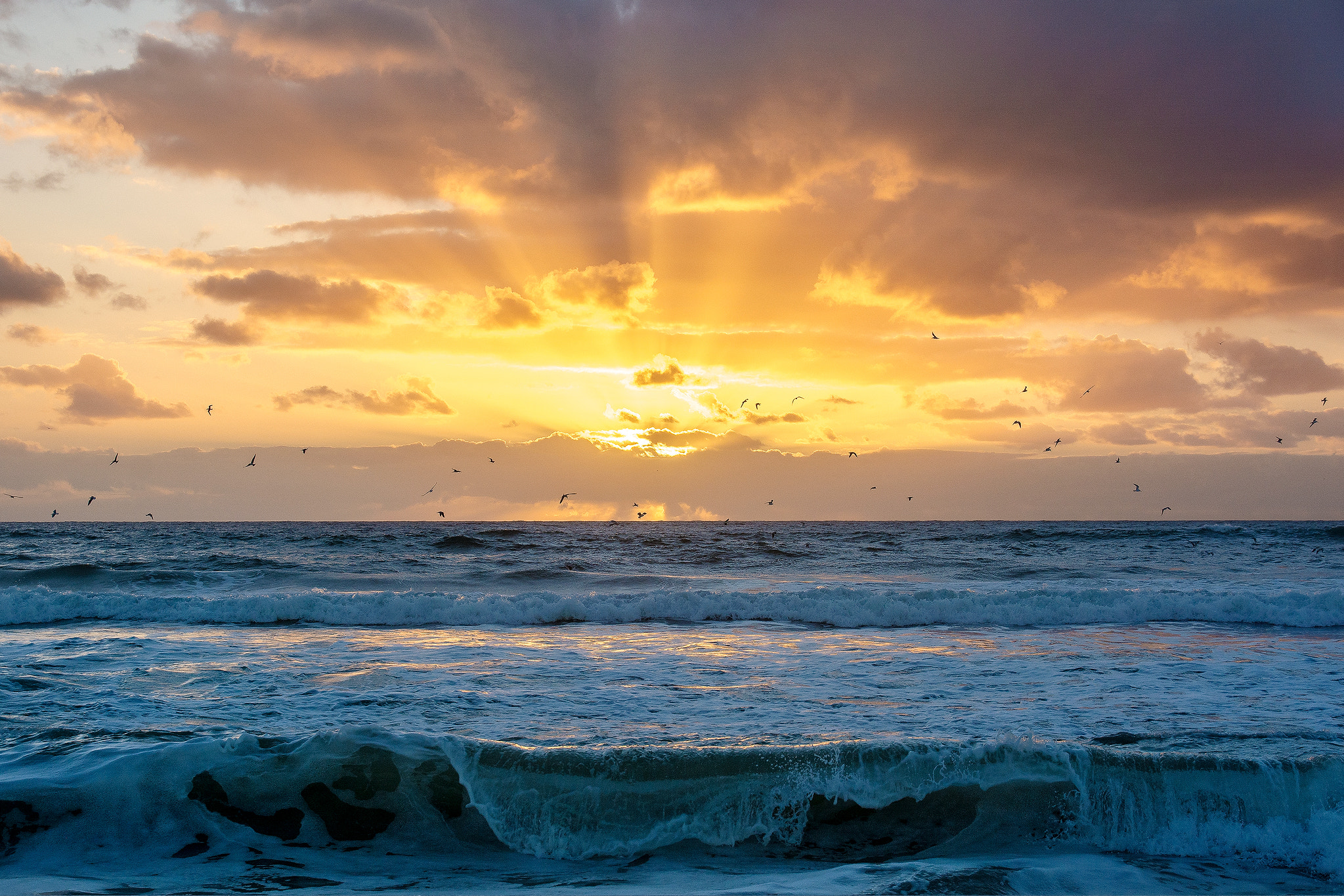 Nikon D7100 sample photo. Sunrise over the sea photography