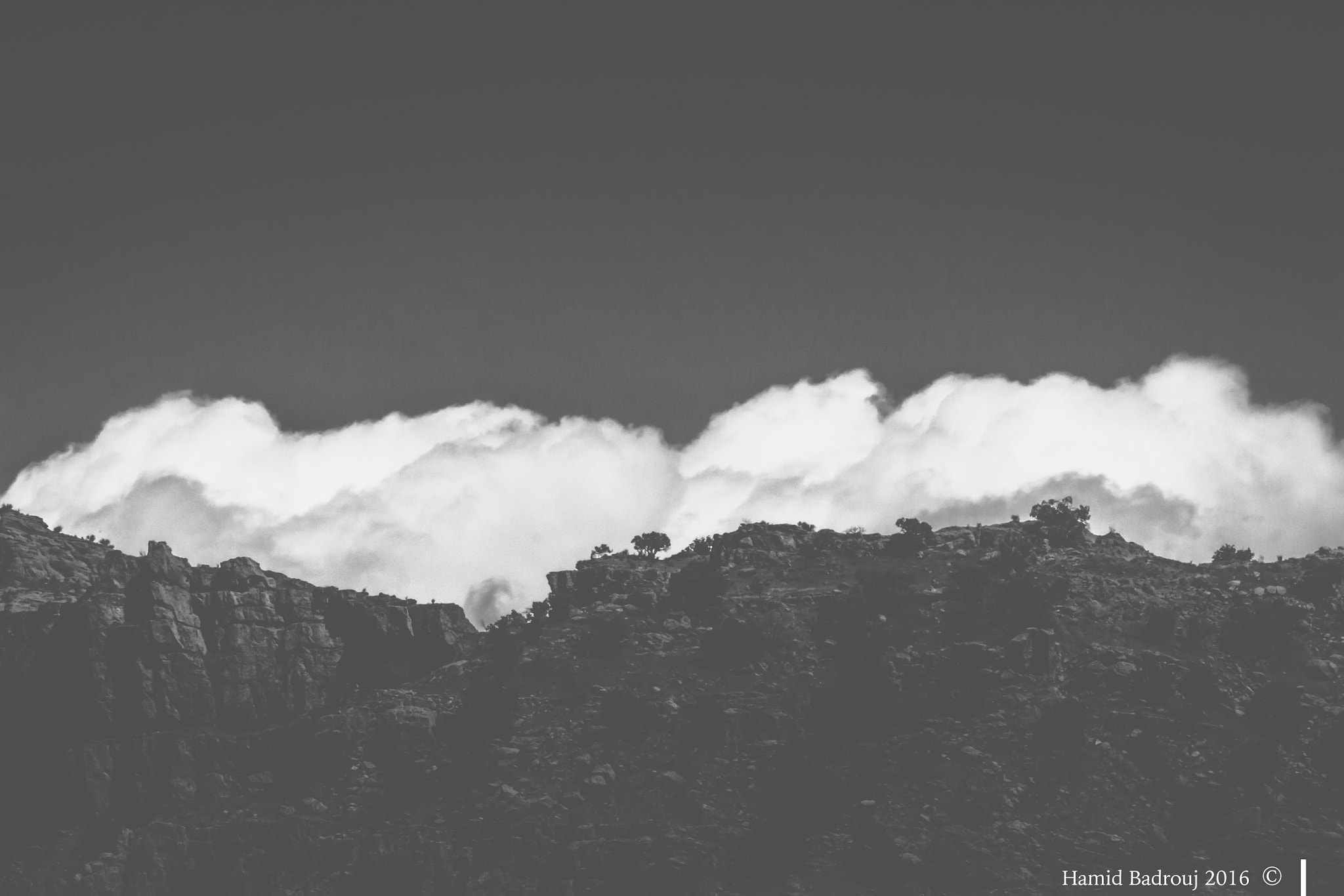 Canon EF 70-200mm F2.8L IS II USM sample photo. A requiem for the loneliness of a tree 2 photography