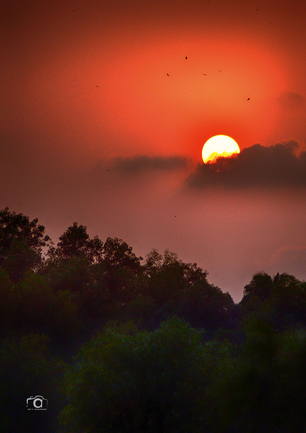 Nikon D3200 sample photo. Sunset photography