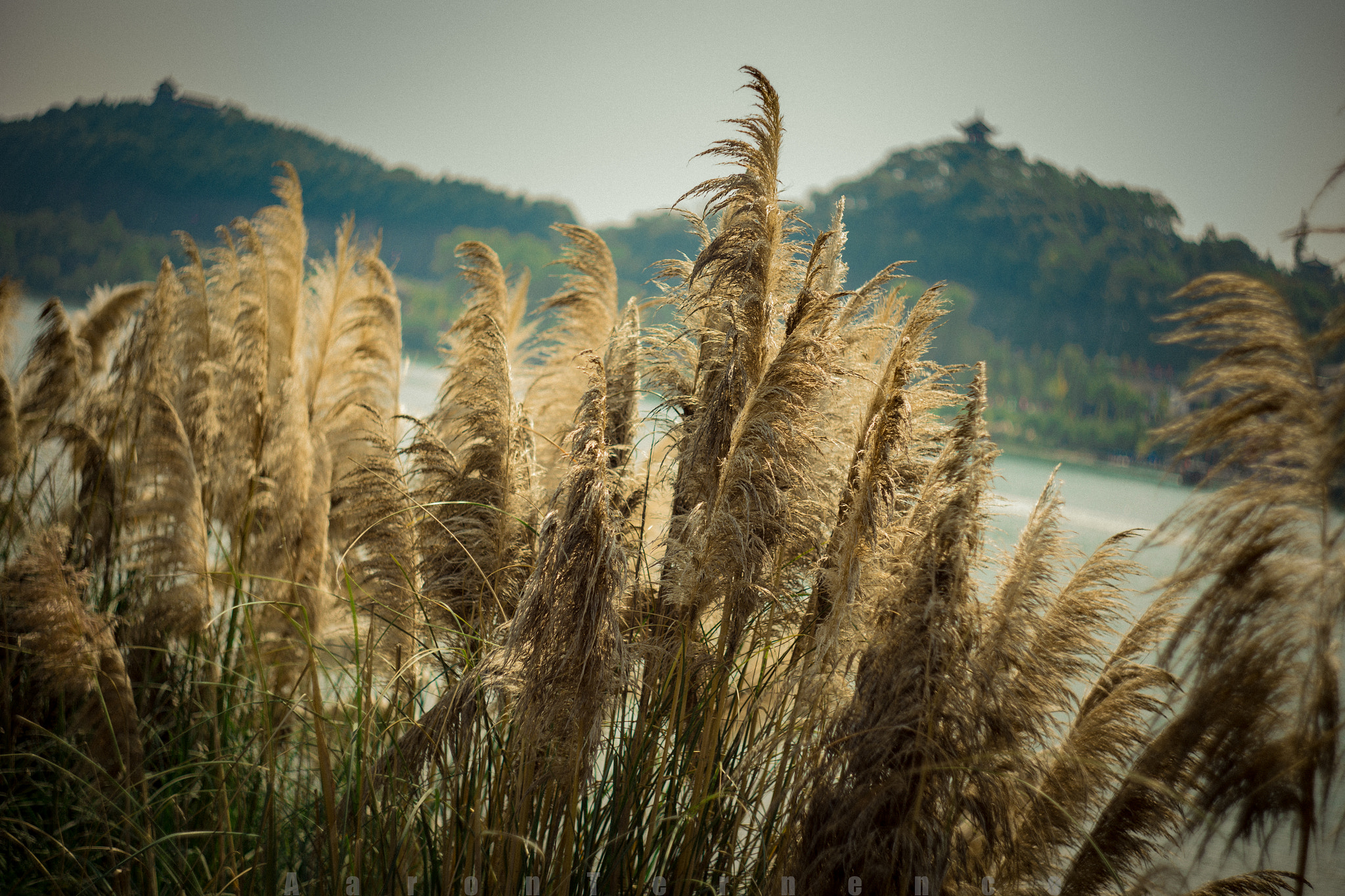 Canon EF 35-80mm f/4-5.6 sample photo. Memories  photography