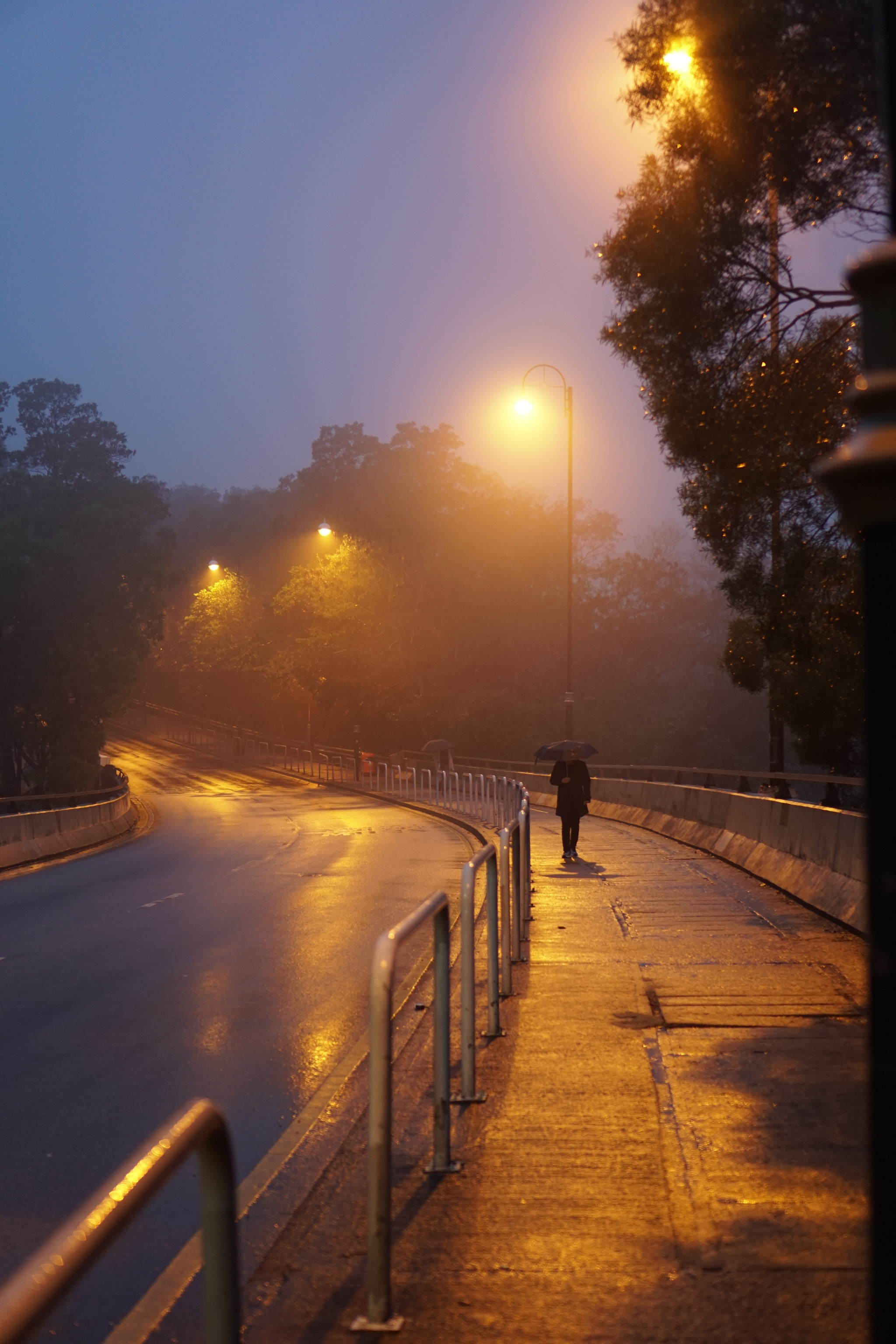 Sony a6300 + Sony E 35mm F1.8 OSS sample photo. Drizzle evening photography