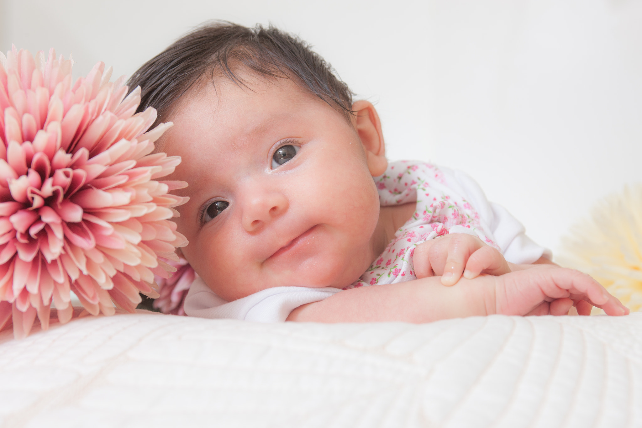 EF28-70mm f/2.8L USM sample photo. Carolina photography