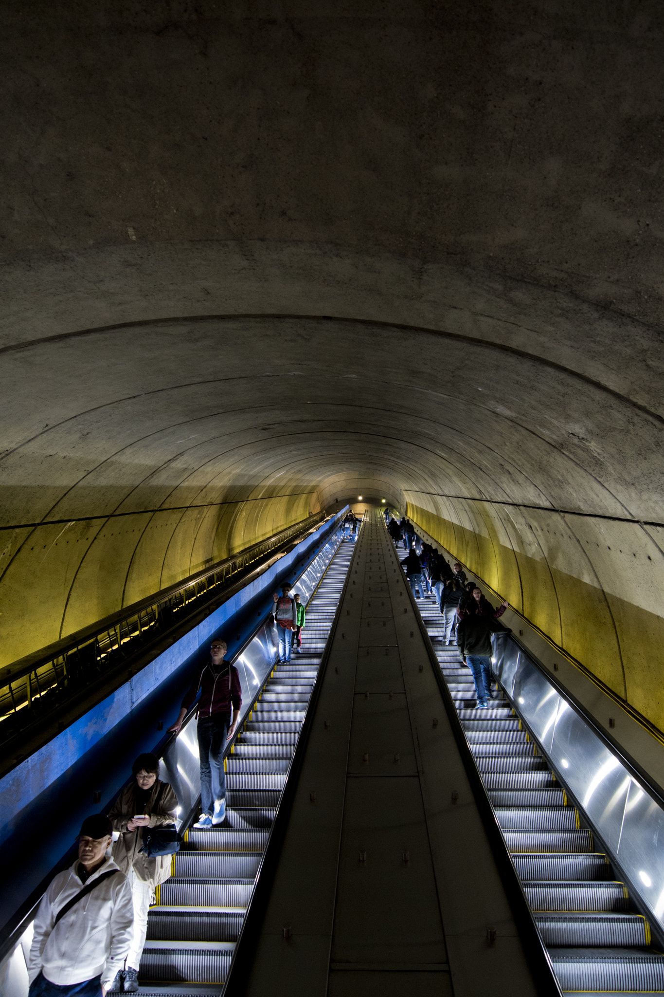 Nikon D500 + Nikon AF-S Nikkor 14-24mm F2.8G ED sample photo. Woodly park zoo metro station photography