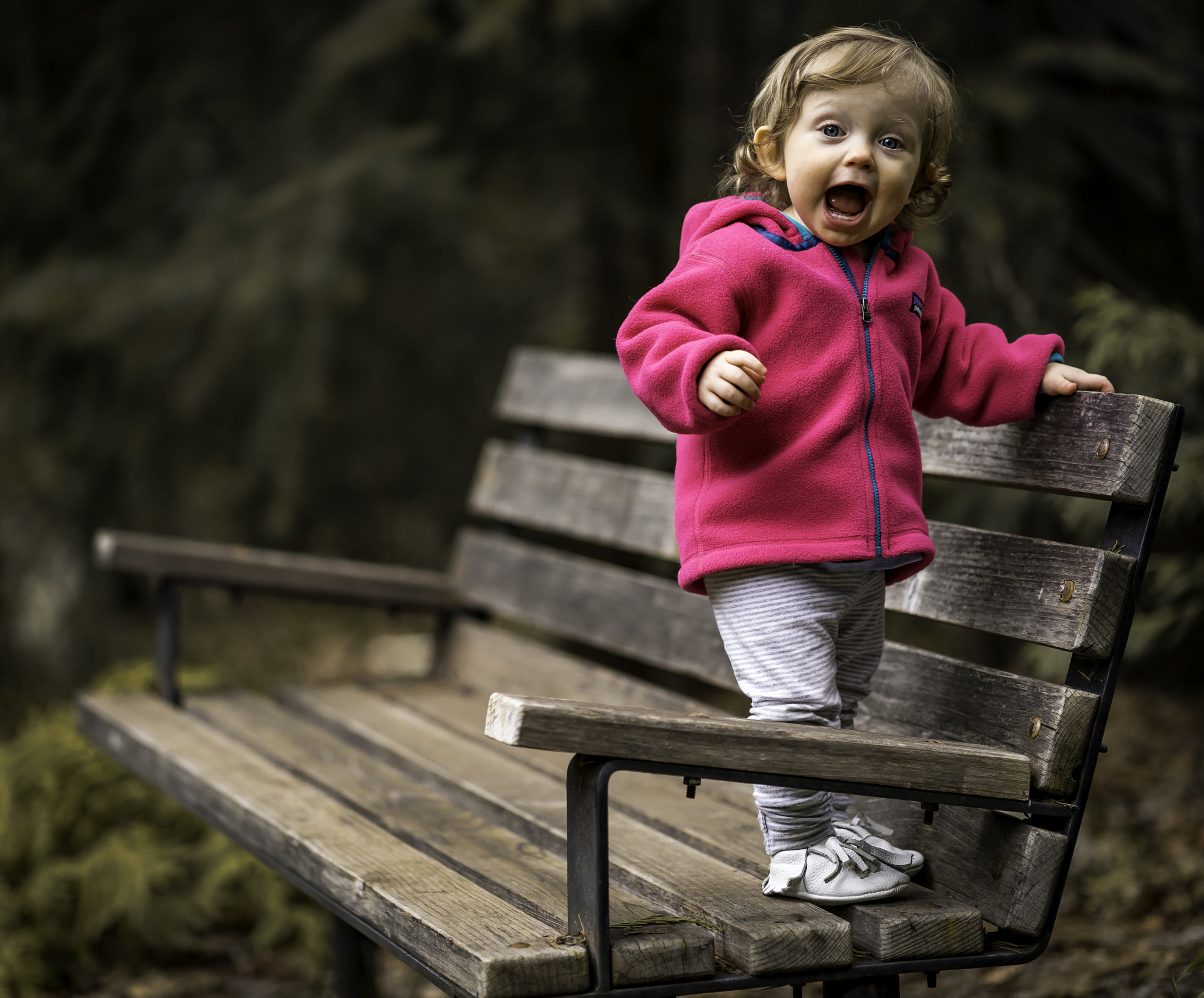 ZEISS Batis 85mm F1.8 sample photo. Hey! photography