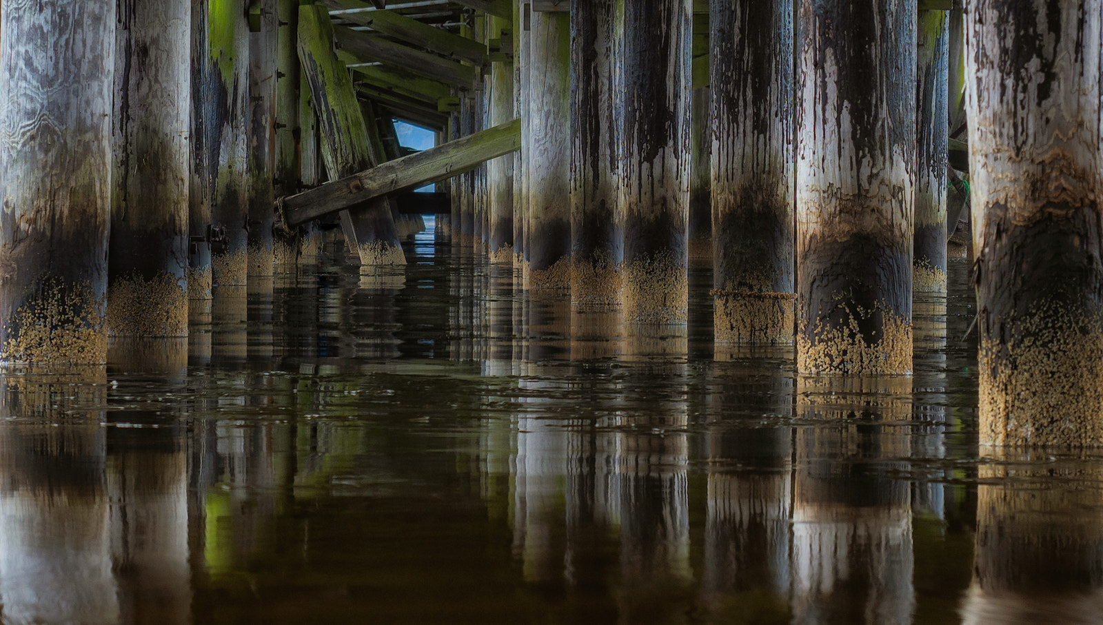 Olympus OM-D E-M1 Mark II sample photo. Under the pier photography