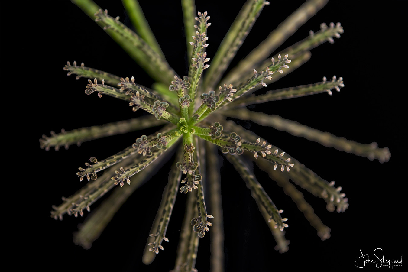 Canon EF 70-200mm F2.8L IS II USM sample photo. Amazing nature. photography