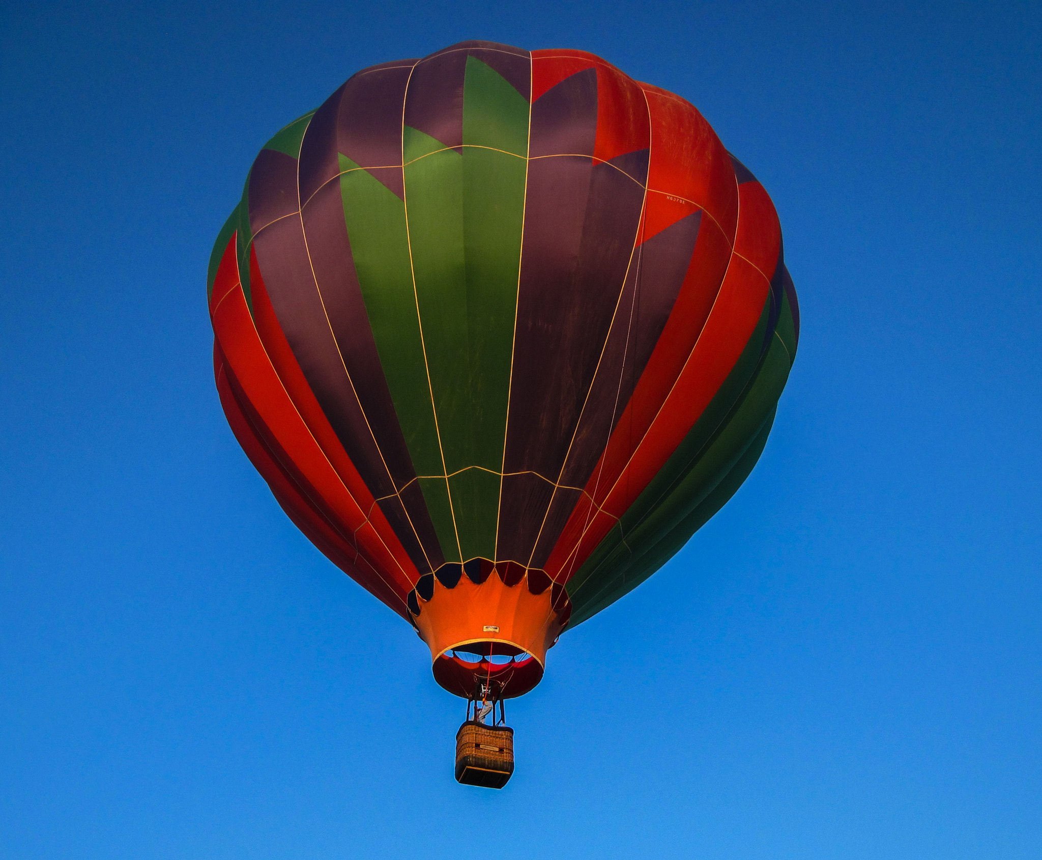 Canon PowerShot D10 sample photo. Balloon in flight photography