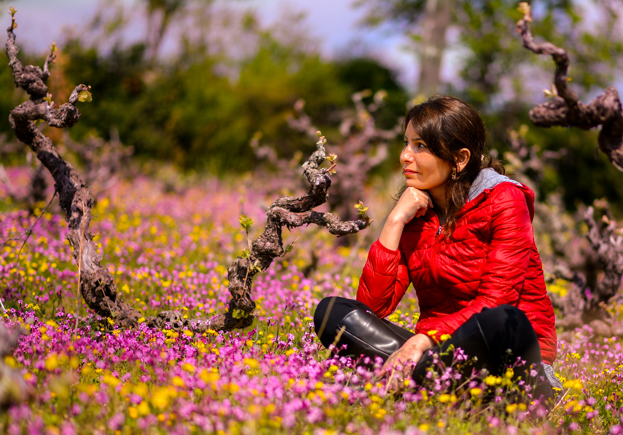 Nikon AF-S Nikkor 85mm F1.8G sample photo. Beauty in nature photography
