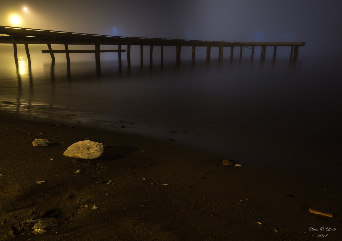 Olympus OM-D E-M1 Mark II + Olympus M.Zuiko Digital ED 12-40mm F2.8 Pro sample photo. The pier photography