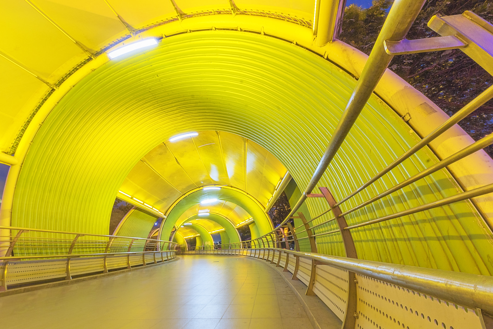 Canon EOS 750D (EOS Rebel T6i / EOS Kiss X8i) sample photo. Tube of yellow. photography