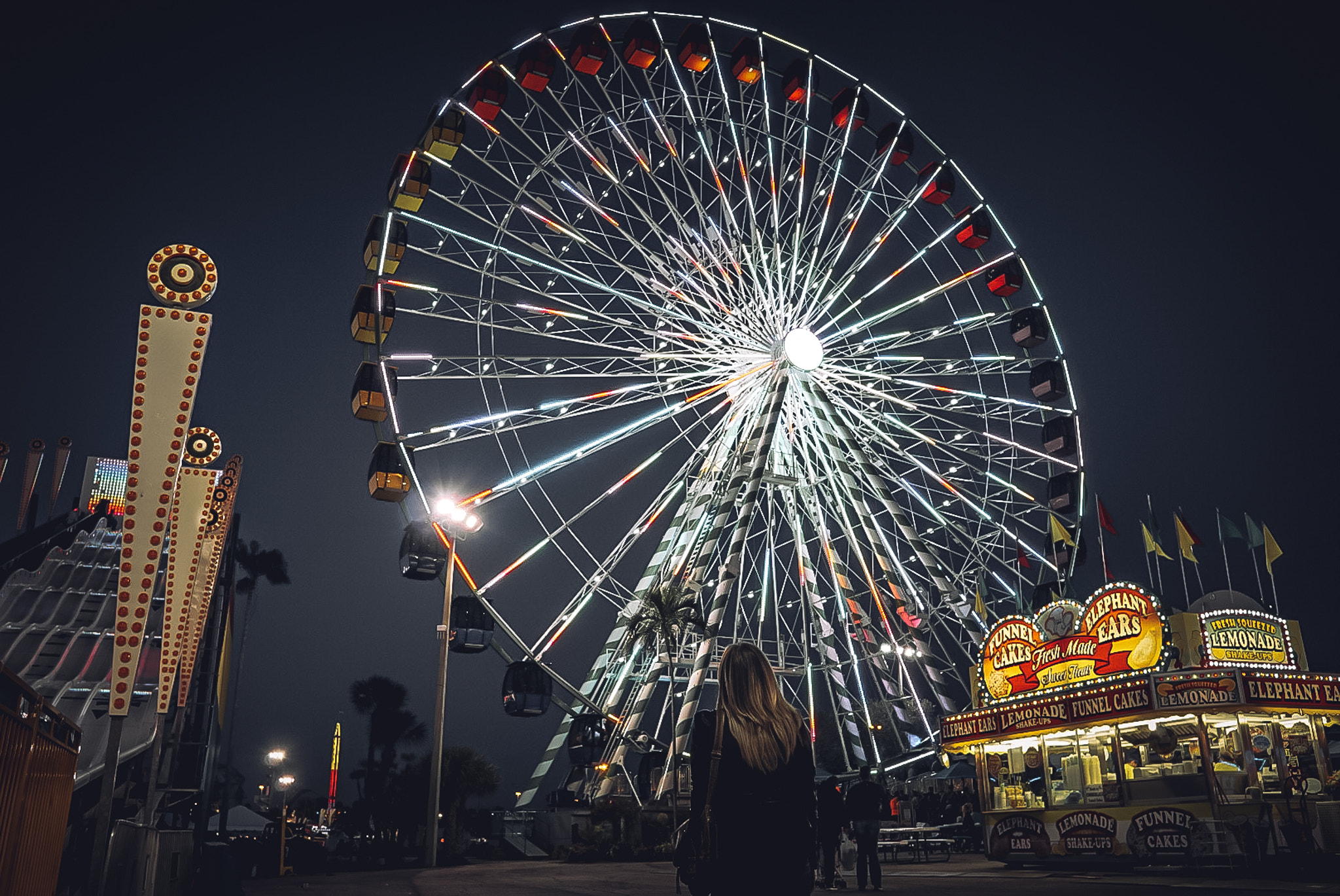 Sony a6000 + Sigma 19mm F2.8 EX DN sample photo. State fair photography