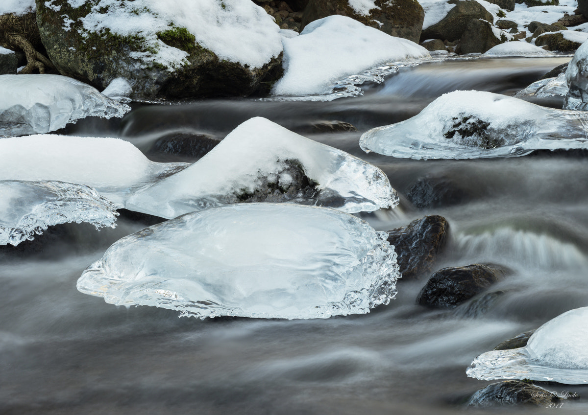 Olympus OM-D E-M1 Mark II + Olympus M.Zuiko Digital ED 40-150mm F2.8 Pro sample photo. The river photography