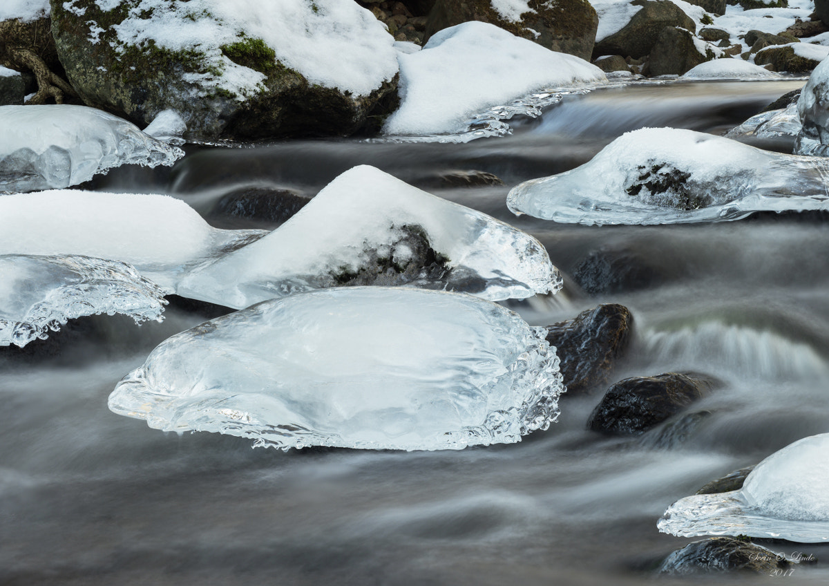 Olympus OM-D E-M1 Mark II sample photo. The river photography