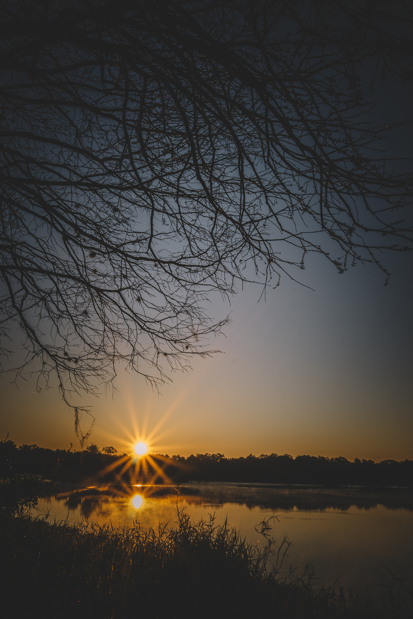 Sony a6000 + Sigma 19mm F2.8 EX DN sample photo