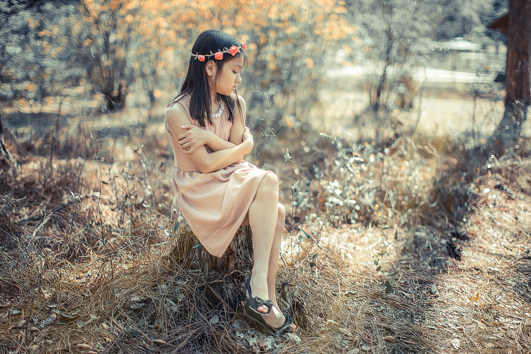 Canon EOS-1D C + Canon EF 50mm F1.2L USM sample photo. Not afraid photography