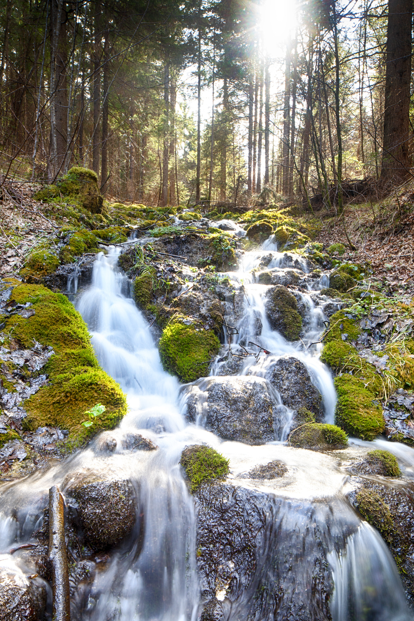 Canon EOS 5D Mark IV sample photo. Una cascata tra gli alberi  photography