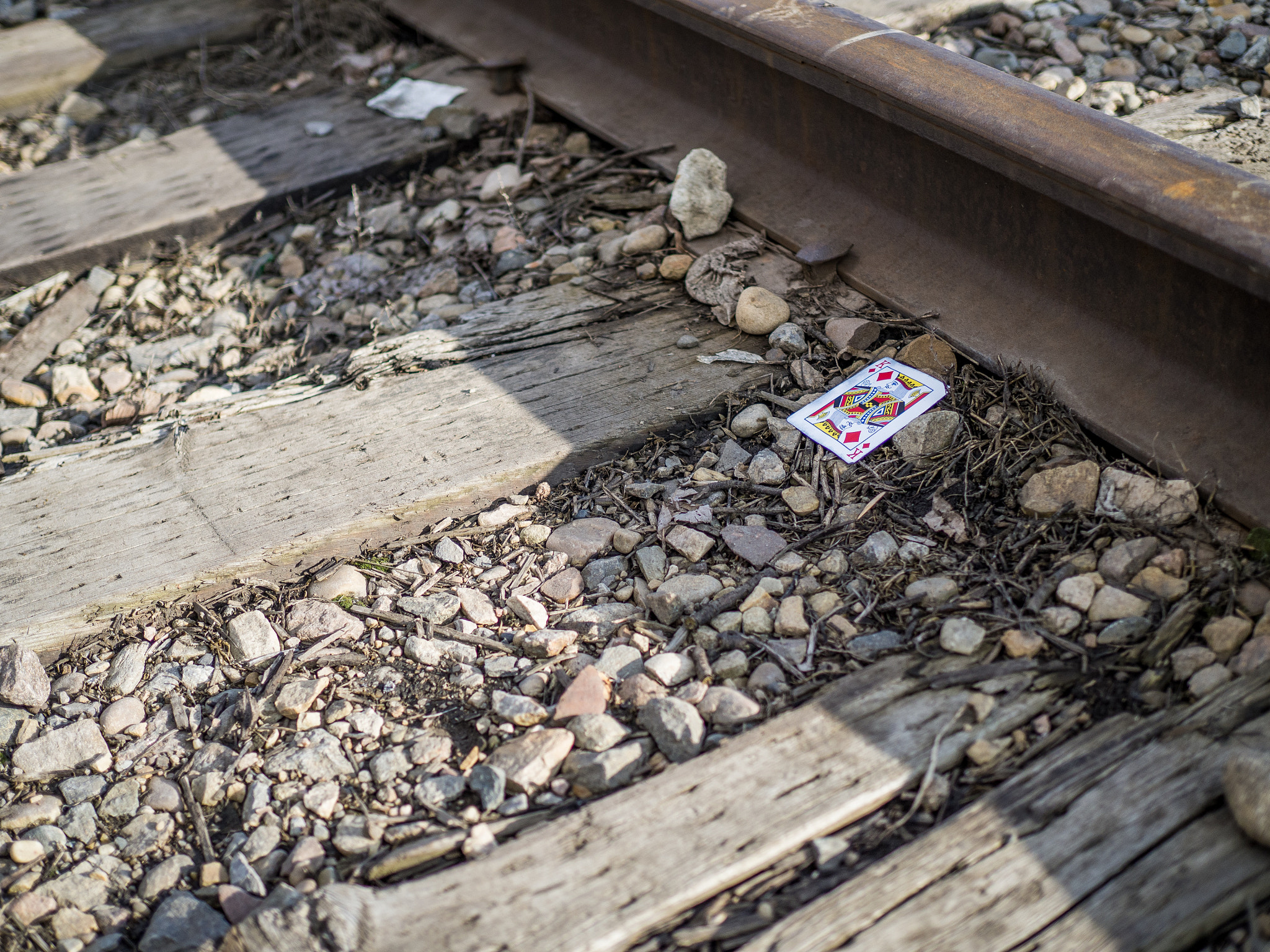Olympus OM-D E-M10 II + Olympus M.Zuiko Digital 25mm F1.8 sample photo. King of the tracks photography