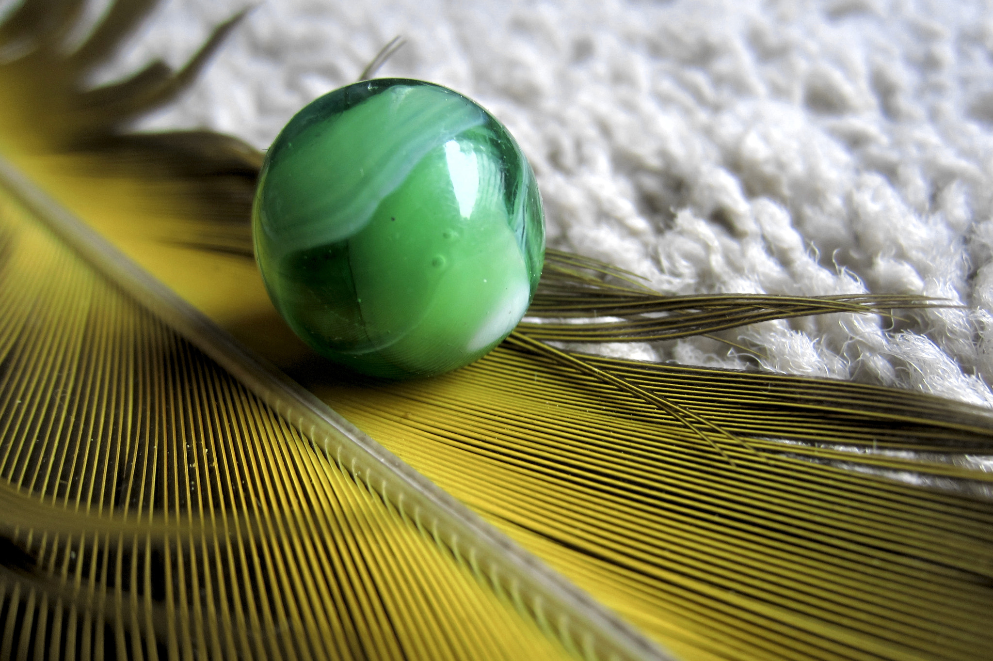 Canon PowerShot ELPH 300 HS (IXUS 220 HS / IXY 410F) sample photo. Marble n feather photography