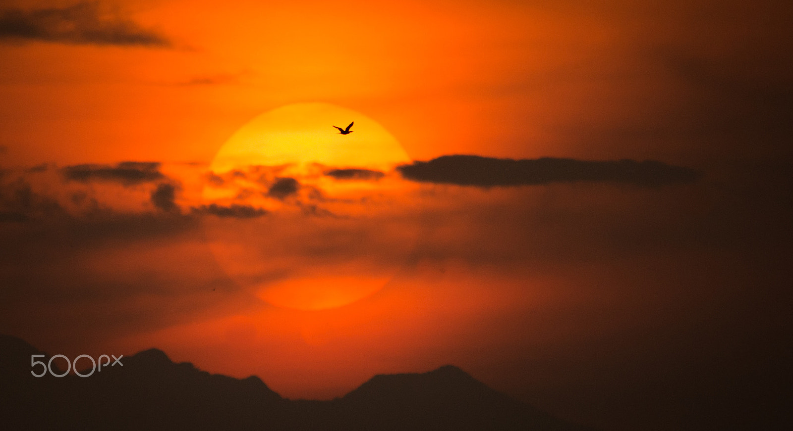 Nikon AF-S Nikkor 200-500mm F5.6E ED VR sample photo. Sun rise photography