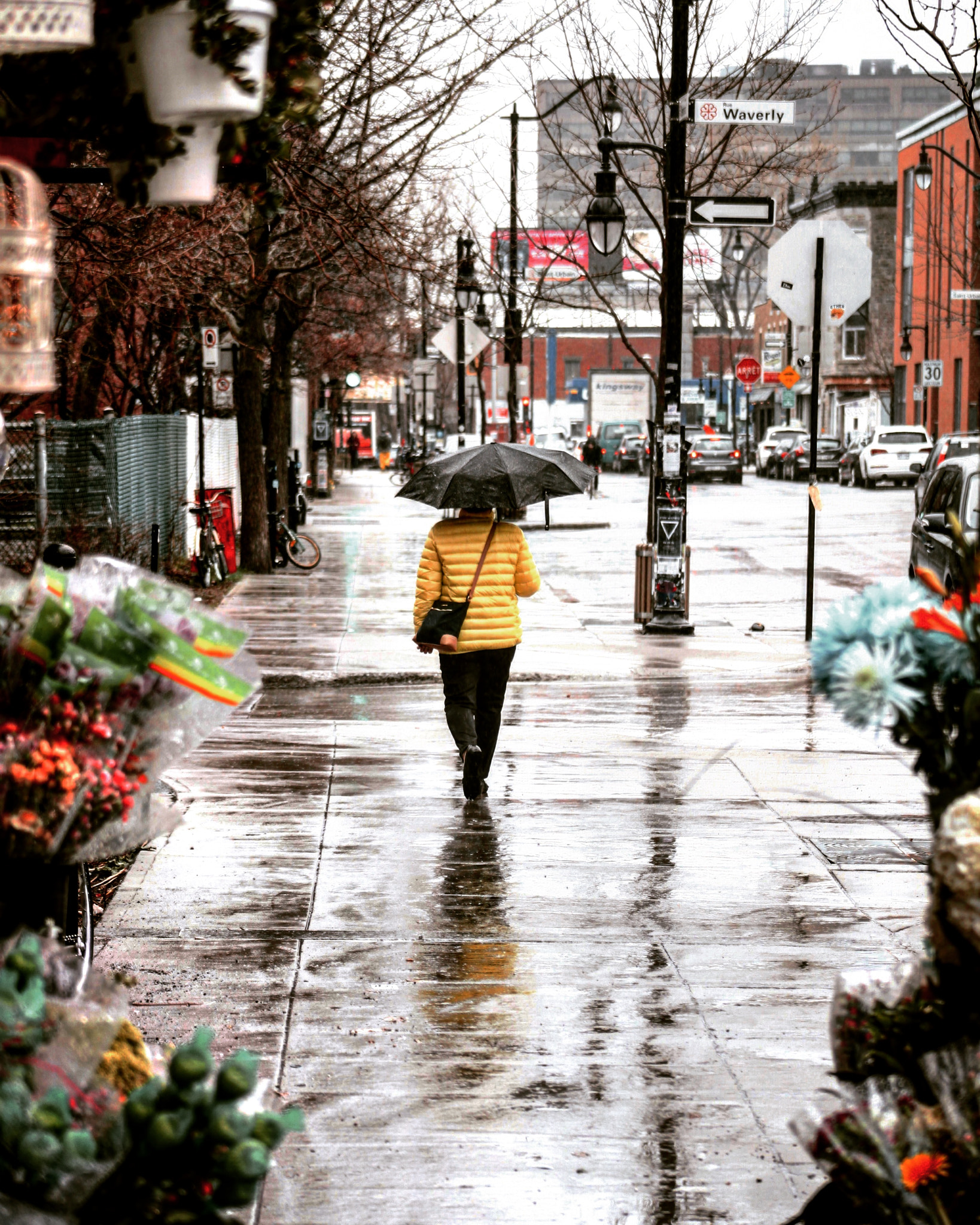 Canon EF 75-300mm f/4-5.6 USM sample photo. Rainy day photography