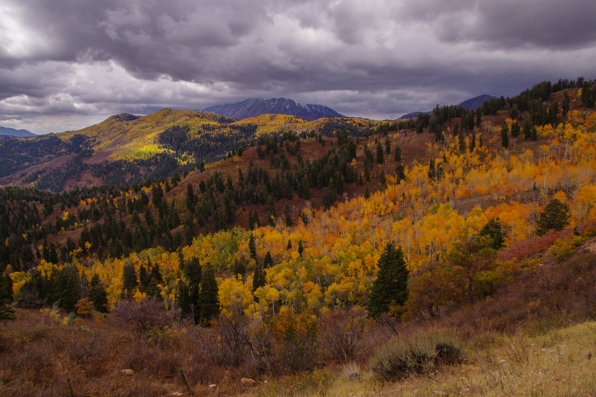 Pentax K-3 sample photo. Gloom and vibrance photography