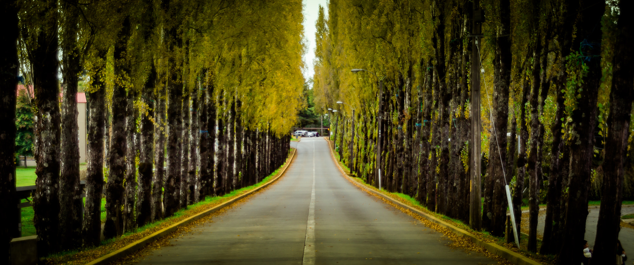 Sigma 18-200mm f/3.5-6.3 DC OS sample photo. Entrada uach photography
