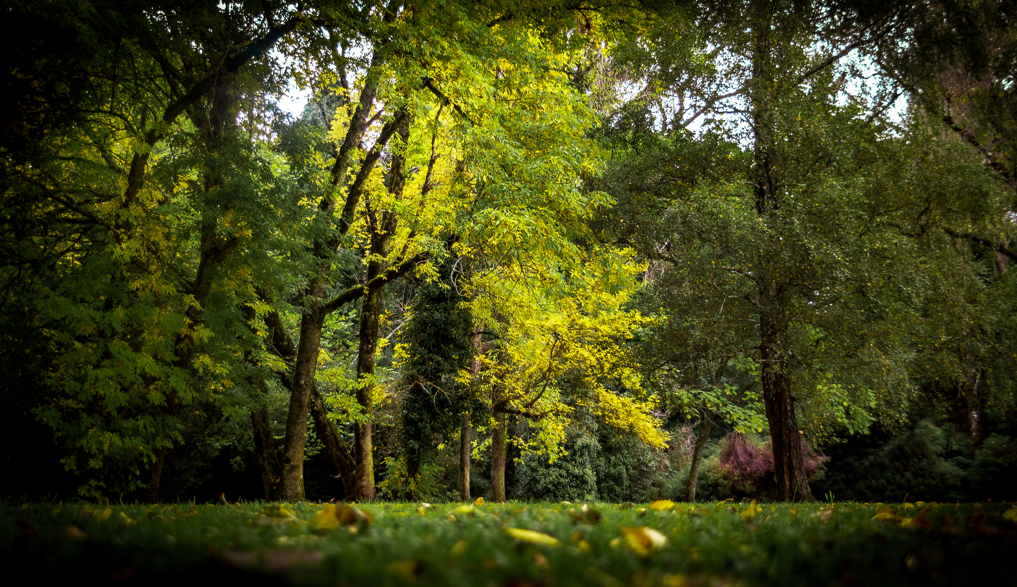 Sigma 18-200mm f/3.5-6.3 DC OS sample photo. Otoño photography