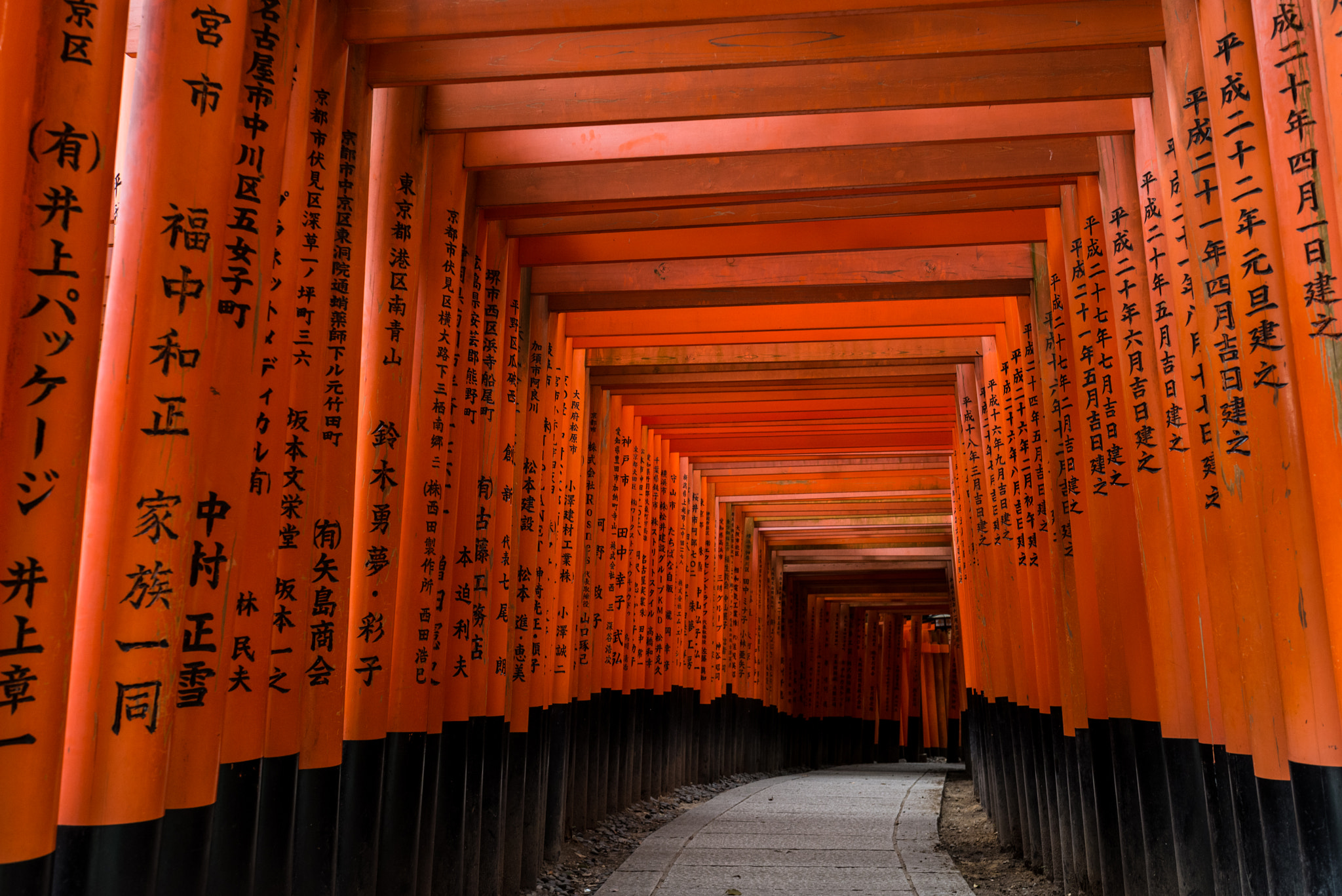 Nikon D600 + Sigma 35mm F1.4 DG HSM Art sample photo. Fushimi-inari photography