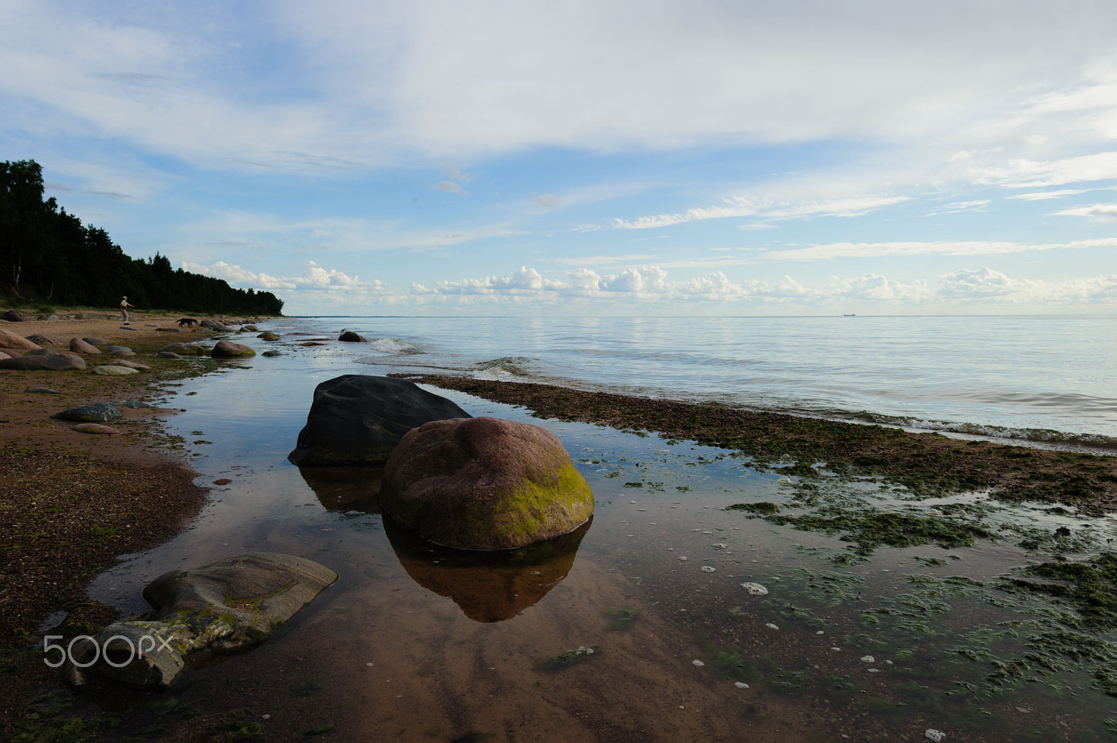 Nikon D700 sample photo. Beach landscape kolka lv photography