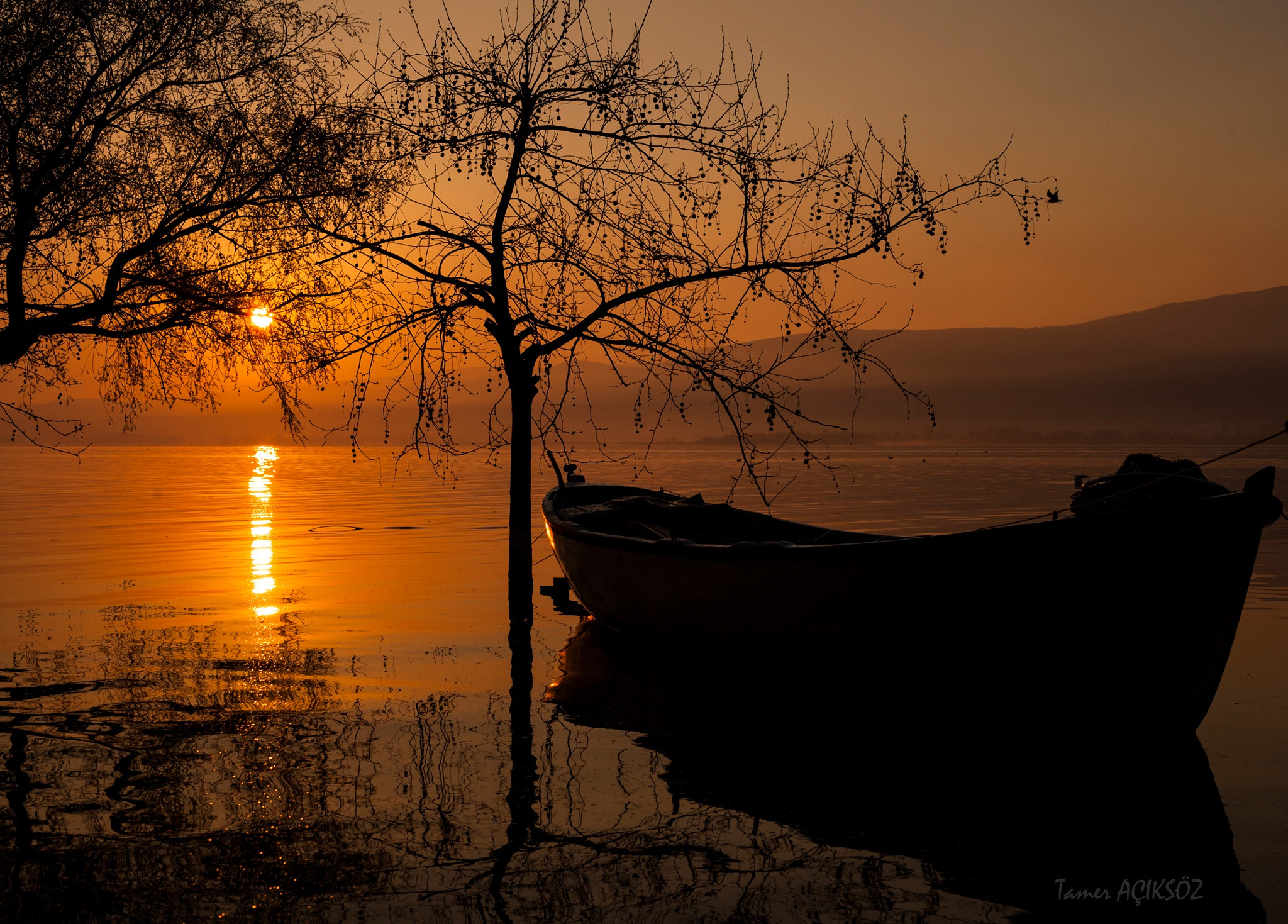 Canon EF 50mm F1.8 II sample photo. Good morning. photography