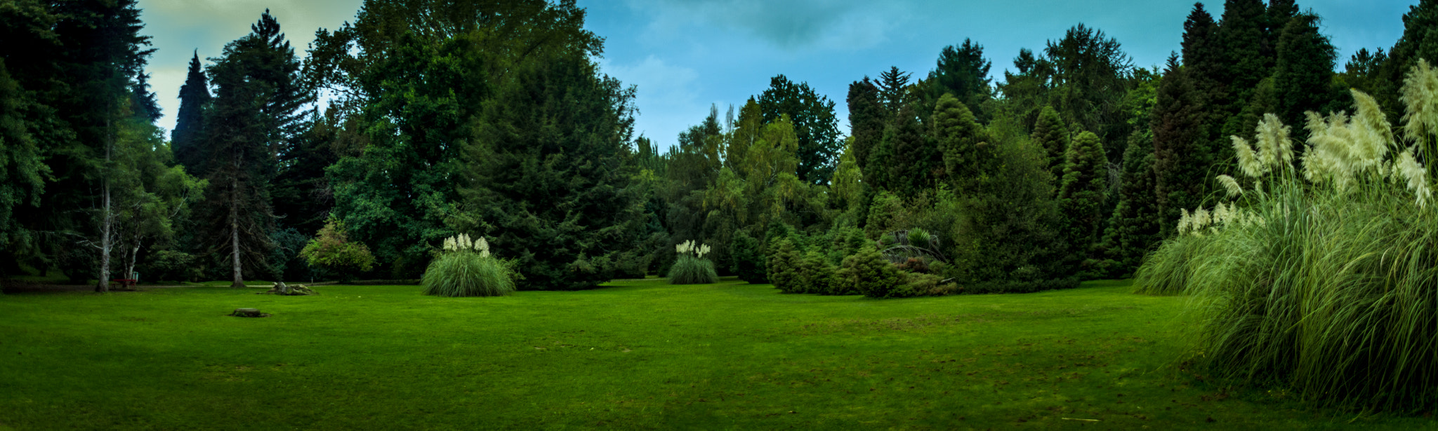 Sigma 18-200mm f/3.5-6.3 DC OS sample photo. Panorámica jardín botánico photography