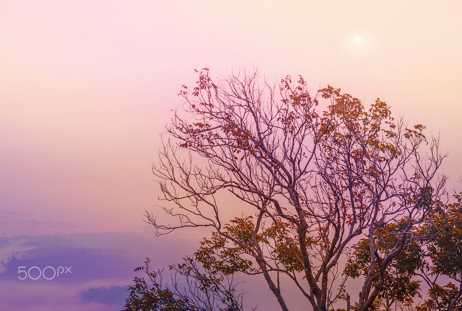 Nikon D3300 + Nikon AF-S Nikkor 50mm F1.8G sample photo. Sunrise photography