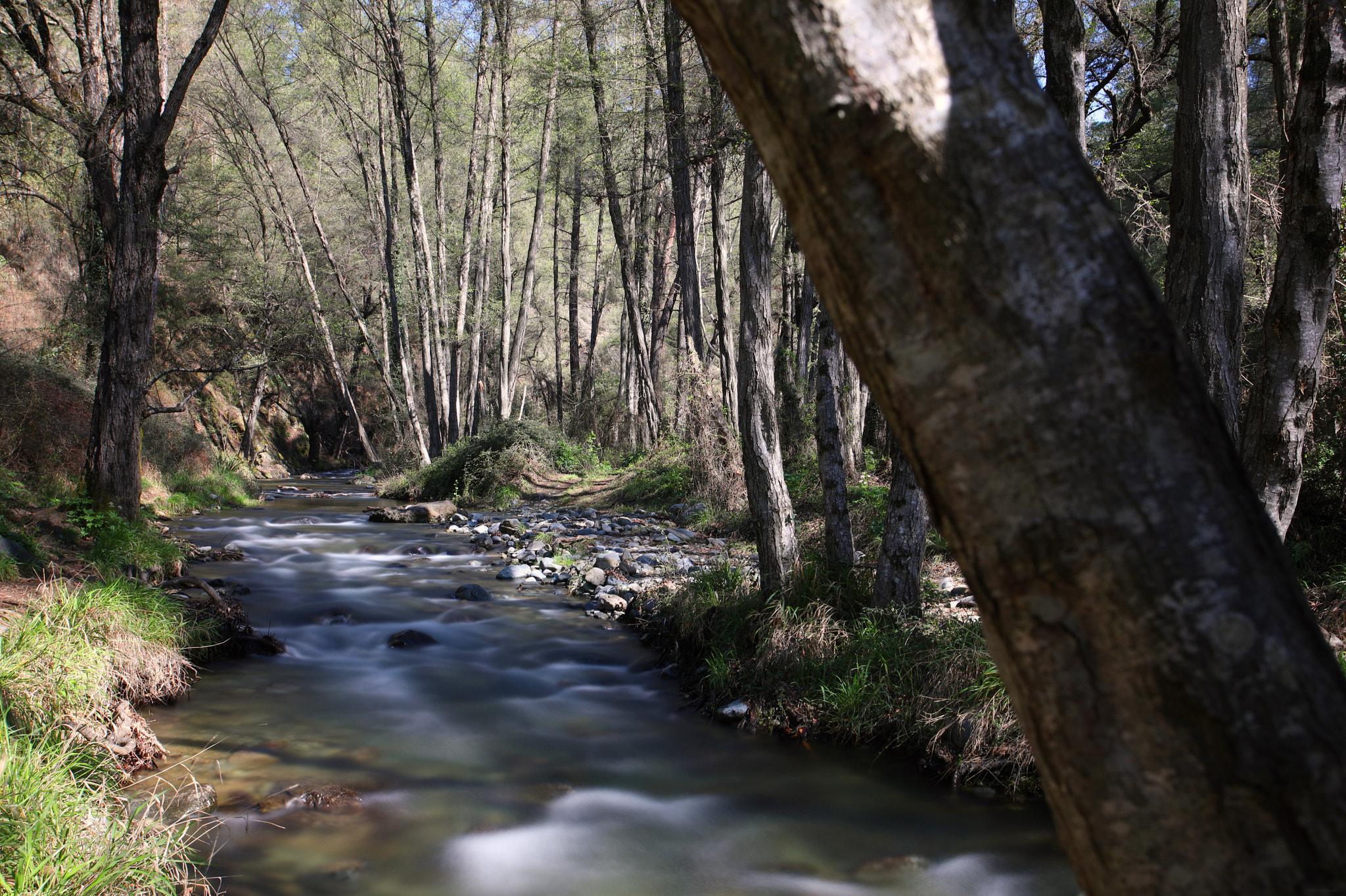 Canon EF 17-40mm F4L USM sample photo. Diarizos river in cyprus photography