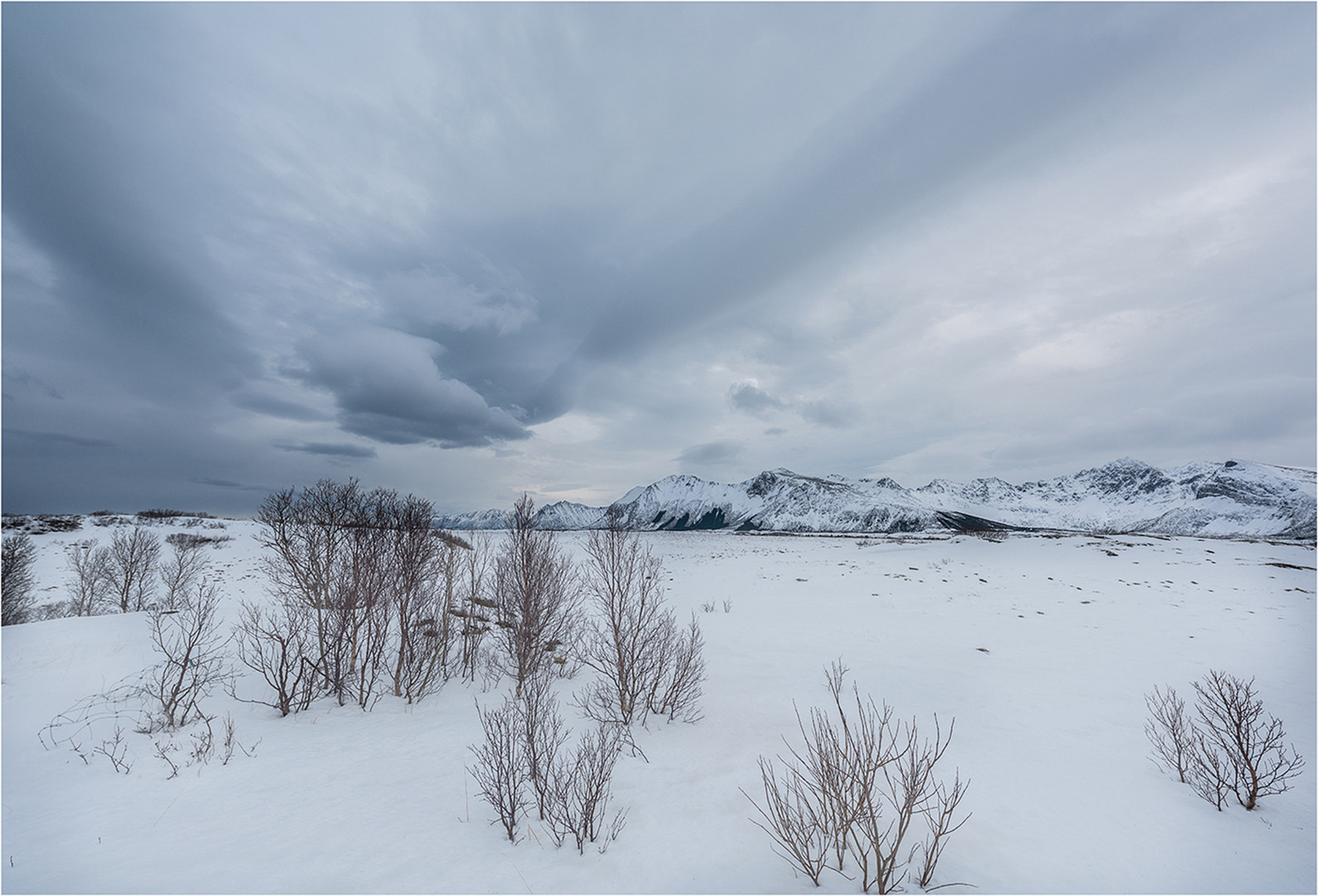 Nikon AF-S Nikkor 14-24mm F2.8G ED sample photo. Winter photography