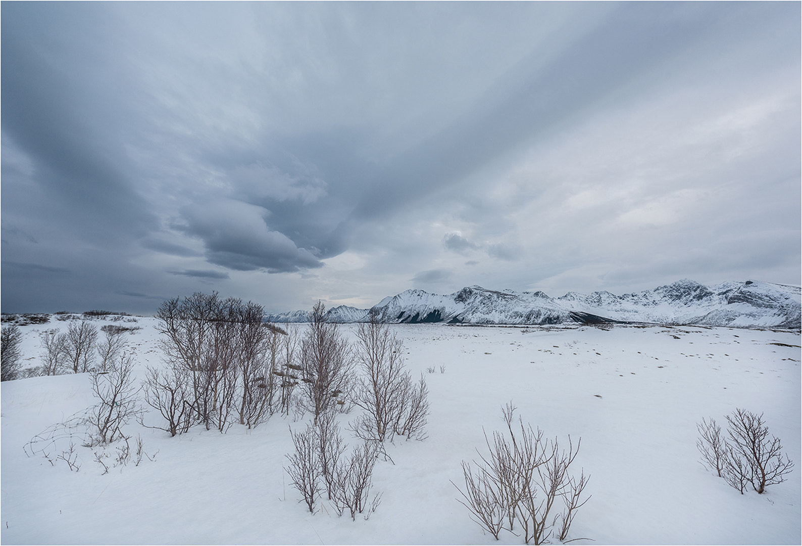 Nikon D810 sample photo. Winter photography