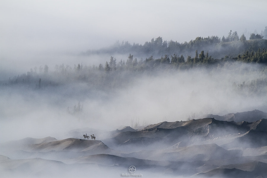 Canon EF 100-400mm F4.5-5.6L IS USM sample photo. Lost world photography