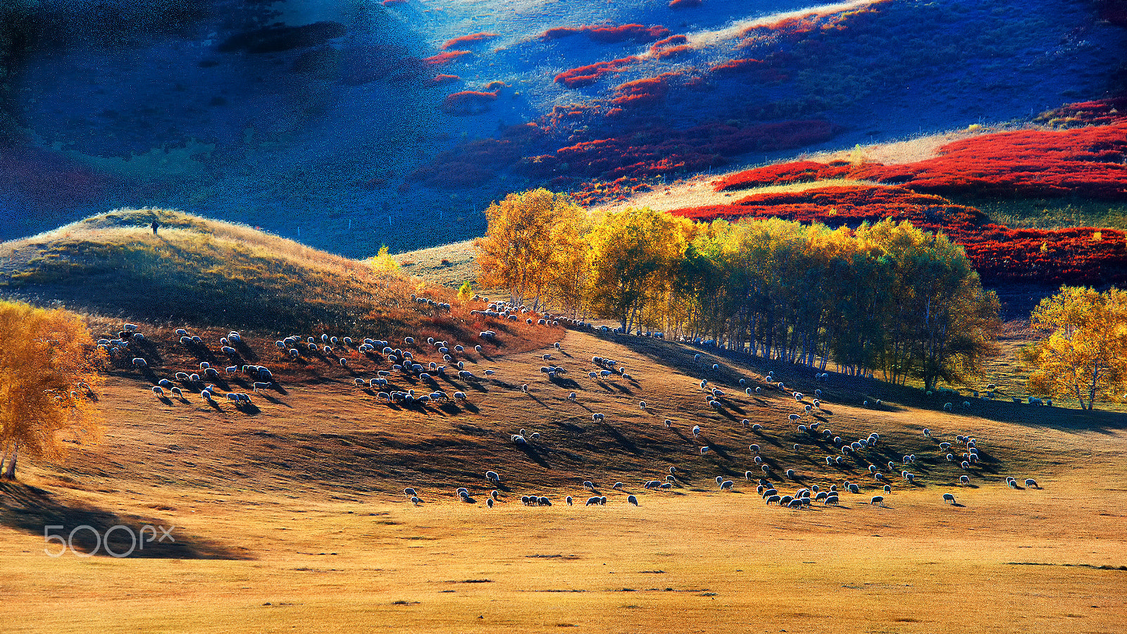 Nikon D800E sample photo. Mongolian autumn photography