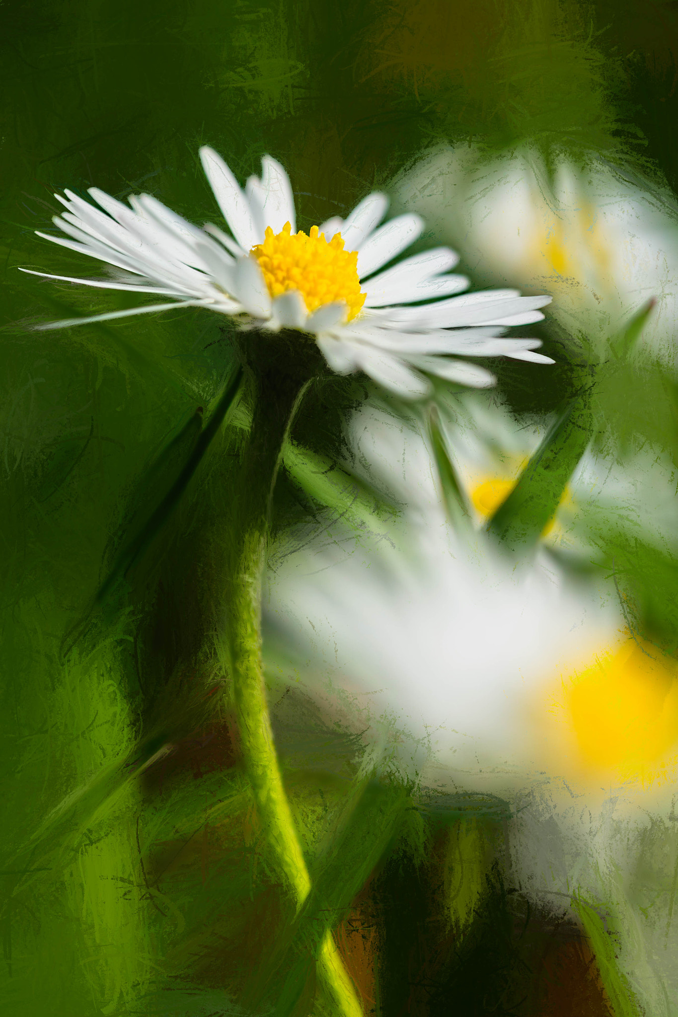 Canon EF-S 18-55mm F3.5-5.6 IS sample photo. Une journee de printemps photography