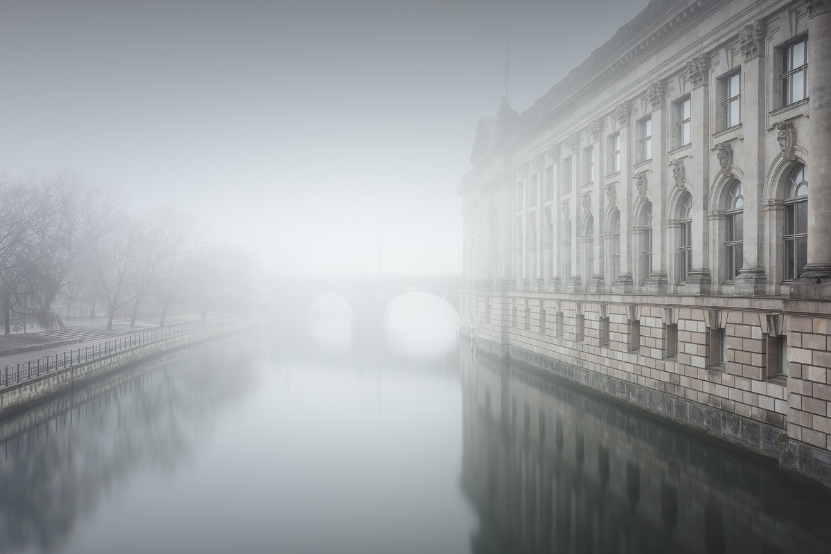 Pentax K-1 + HD Pentax D FA 24-70mm F2.8 ED SDM WR sample photo. Bodemuseum | berlin, germany 2017 photography