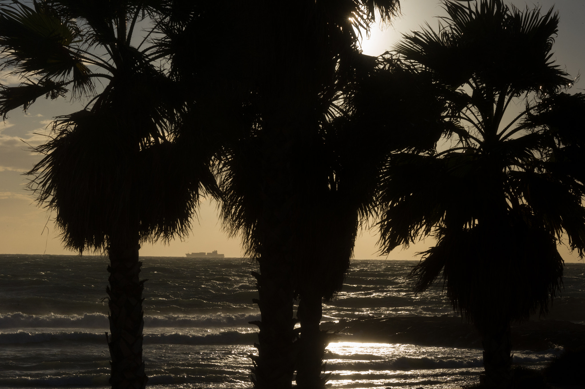 Nikon D3S + Nikon AF-S Nikkor 28-300mm F3.5-5.6G ED VR sample photo. Rough seas and palm trees photography