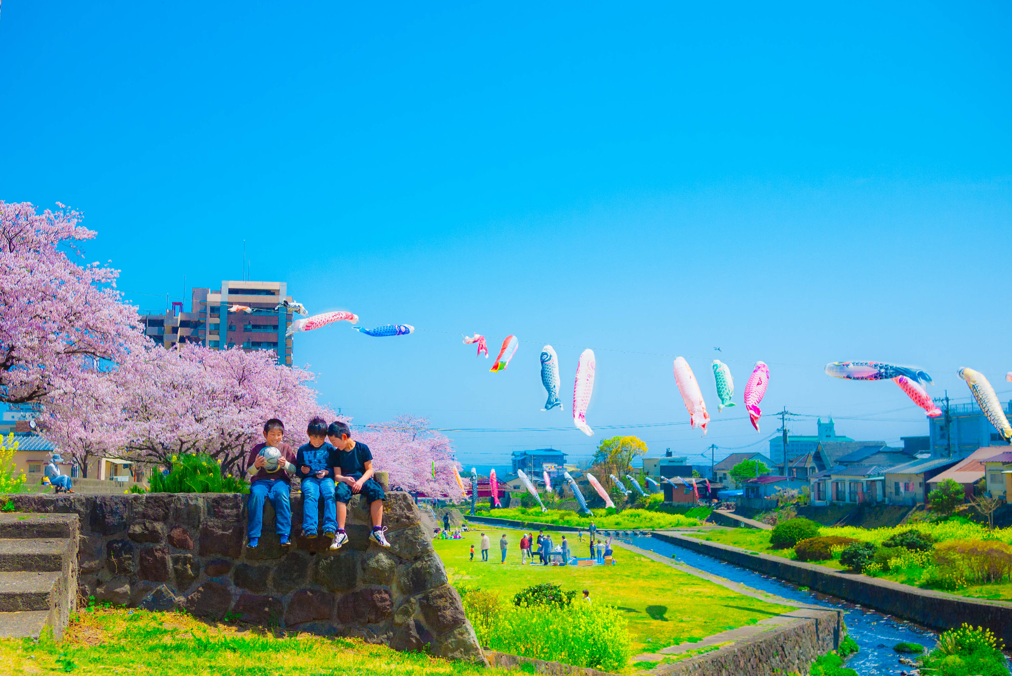 Panasonic Lumix DMC-GF2 sample photo. Cherry blossom in japan photography