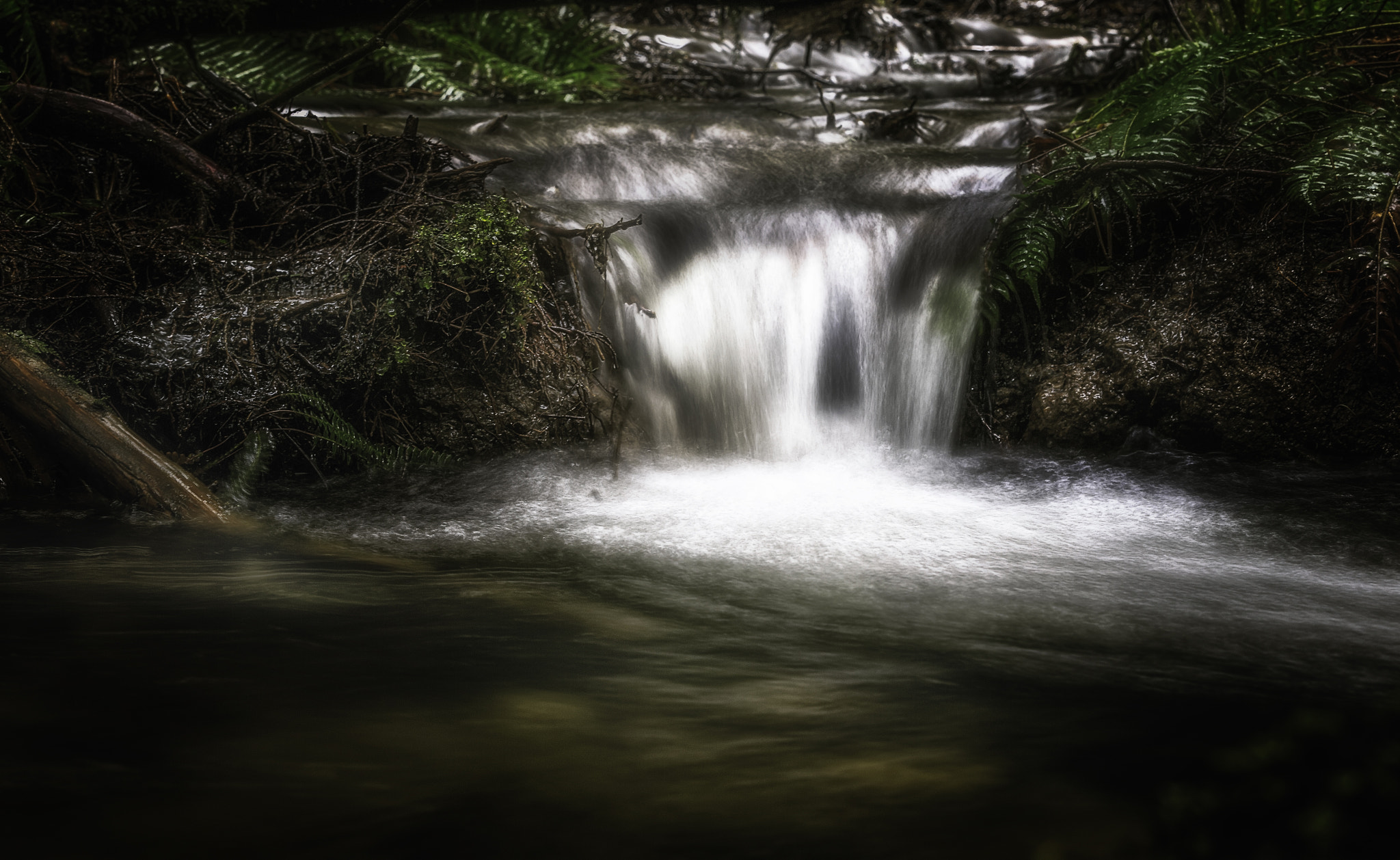 Canon EOS-1D X sample photo. Forest waterfall photography