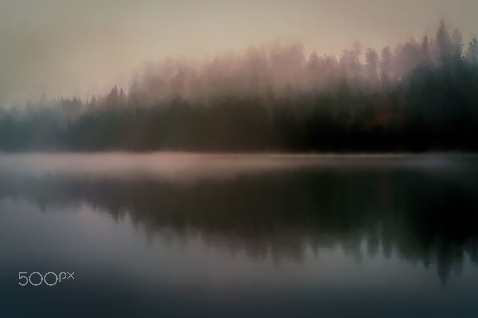 Sony FE 70-300mm F4.5-5.6 G OSS sample photo. Moody forest photography