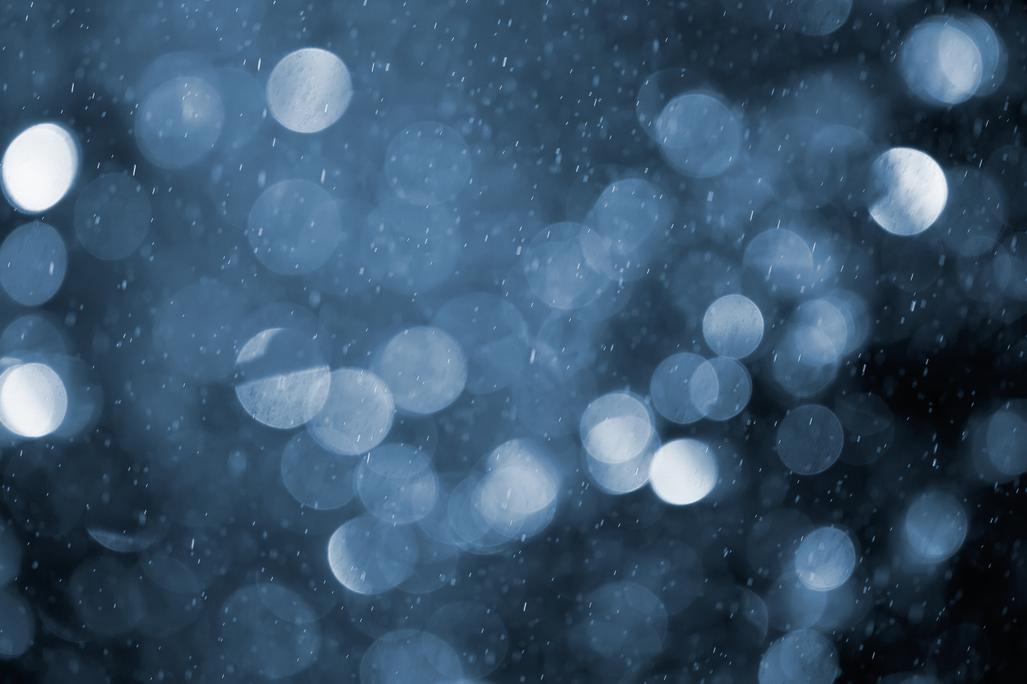 Canon EF 100mm F2.8L Macro IS USM sample photo. Bogey and rain wiith blue tone. photography