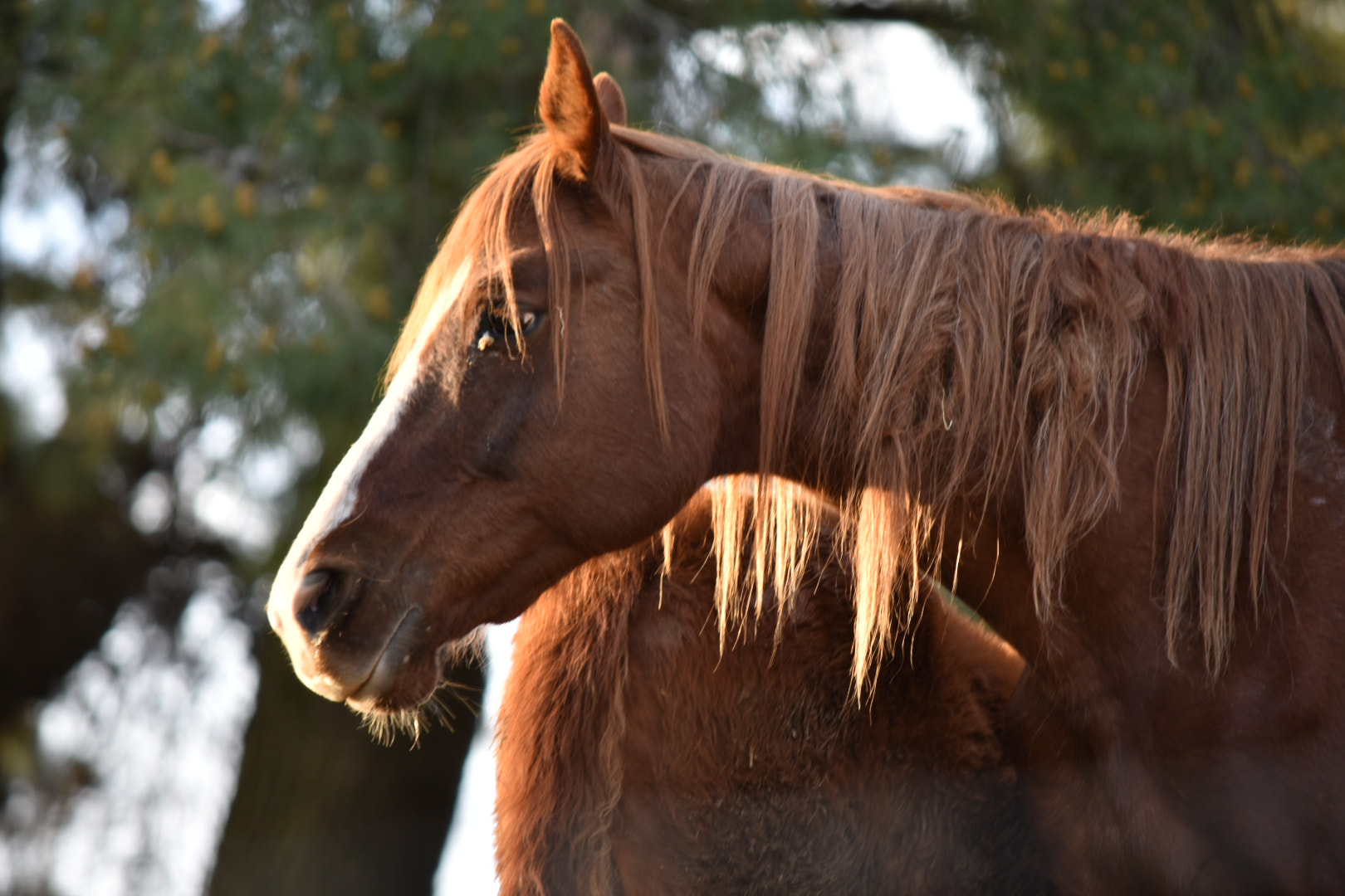 Nikon D7200 sample photo