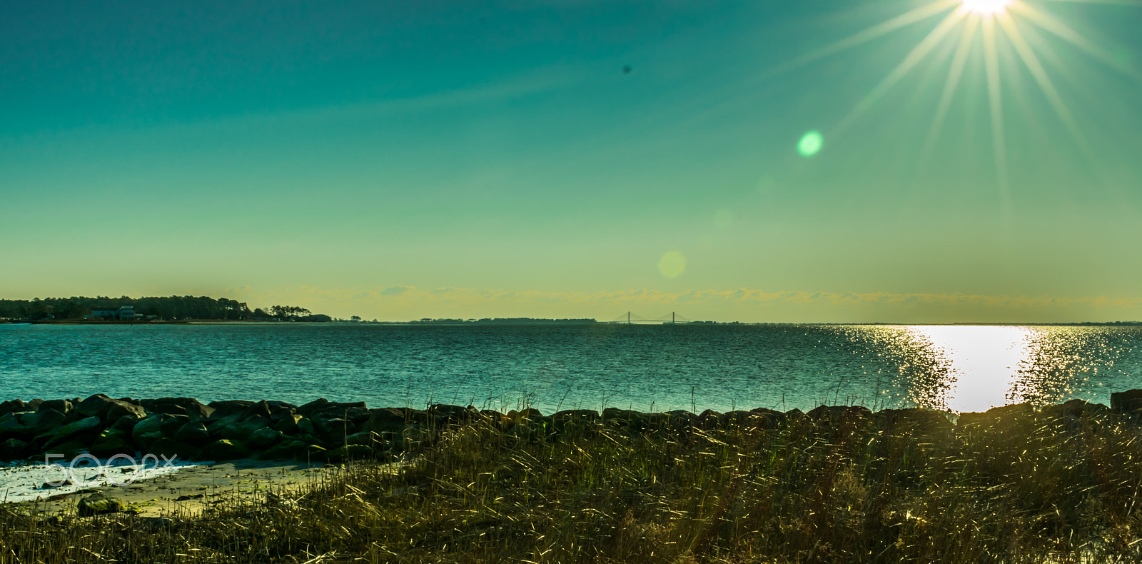 Nikon D3400 sample photo. Let the sun shine photography