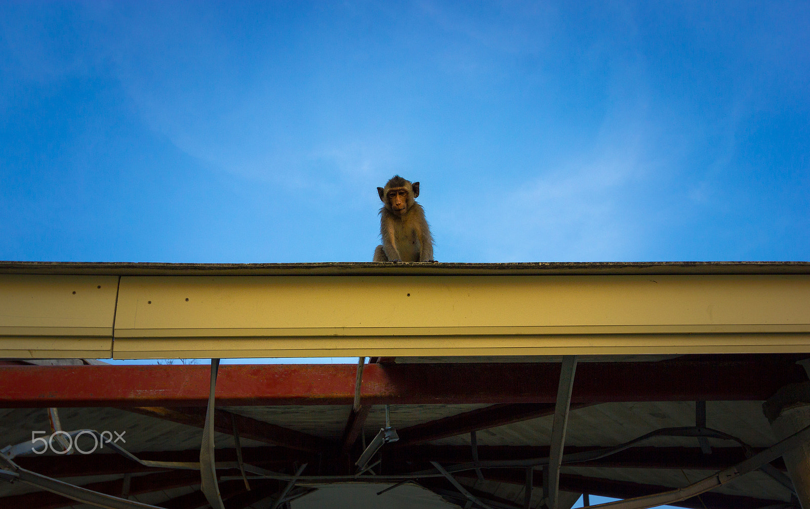 Canon EF-S 10-22mm F3.5-4.5 USM sample photo. Build tough photography